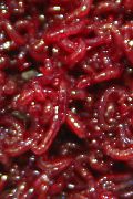 Mückenlarven rot