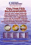 Rote Mücke