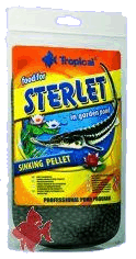Tropical Sterlet