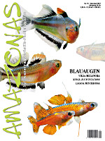 Amazonas 71