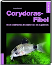 Corydoras Fibel