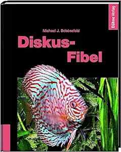 Diskus Fibel