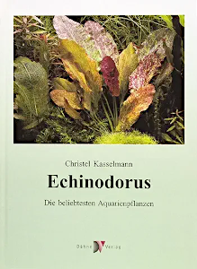 Echinodorus