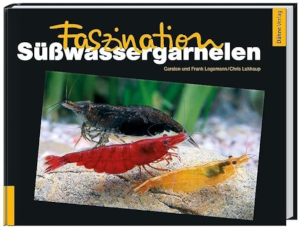 Faszination Süßwassergarnelen