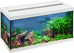 Aquarienset 60x30 cm, weiss