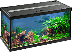 Aquarienset 60x30 cm, schwarz