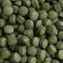 Futterabletten grün