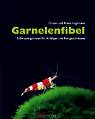 Garnelenfibel