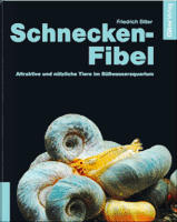 Schneckenfibel