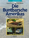 Buntbarsche 3