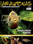 Amazonas Magazin 125