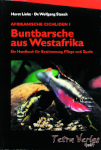 Buntbarsche