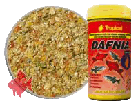 Dafnia vitaminized