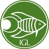 Internationale Gemeinschaft für Labyrinthfische