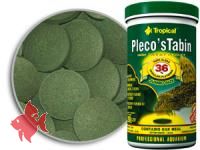 Plecos Tabin